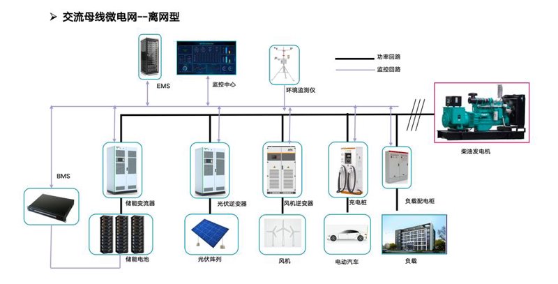 宠物蜥蜴：初学者的养护指南