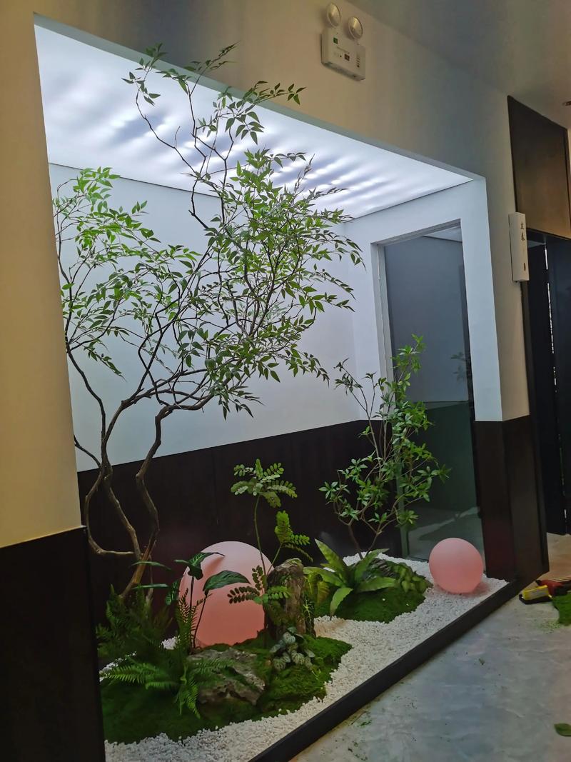 了解爬宠的最佳生活用品，让它们健康快乐成长