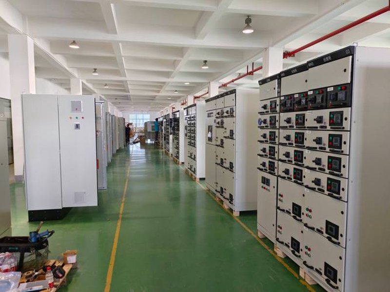 全面了解爬宠用品选购指南
