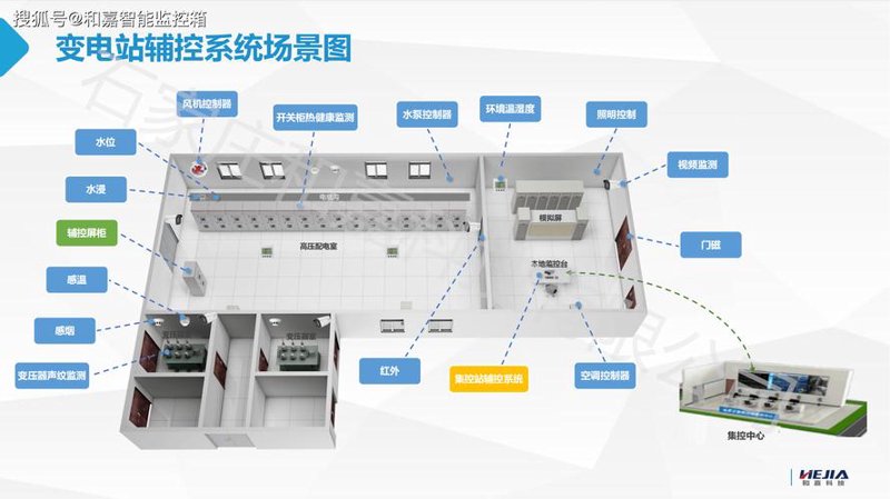 龟粮选购指南：新手与专业人士的共同选择